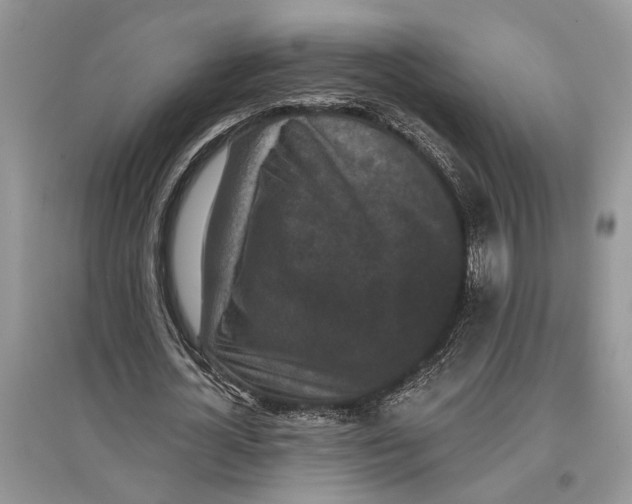X0000097290724200803071731