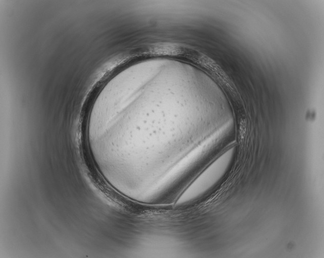 X0000097290726200803071731