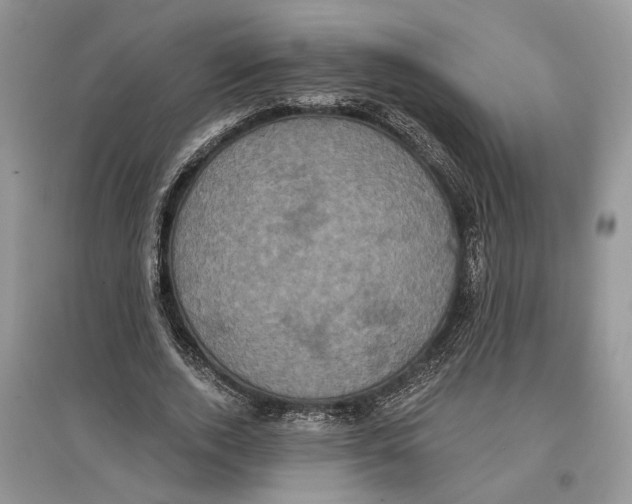 X0000097290728200803071731