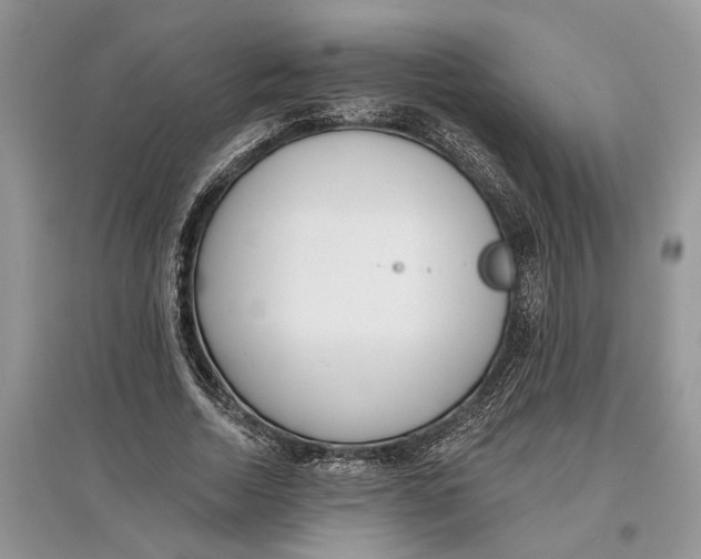 X0000097290730200803071731