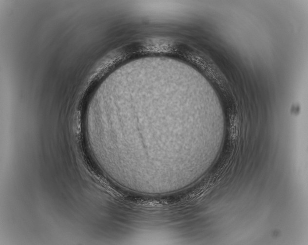 X0000097290731200803071731