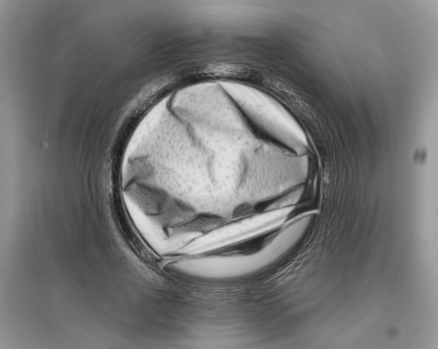 X0000097290734200803071731