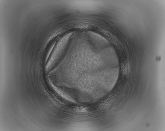 X0000097290735200803071731