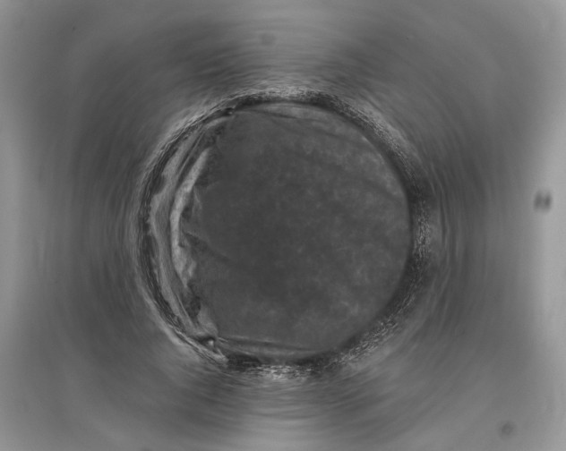 X0000097290736200803071731