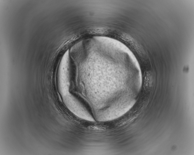 X0000097290739200803071731