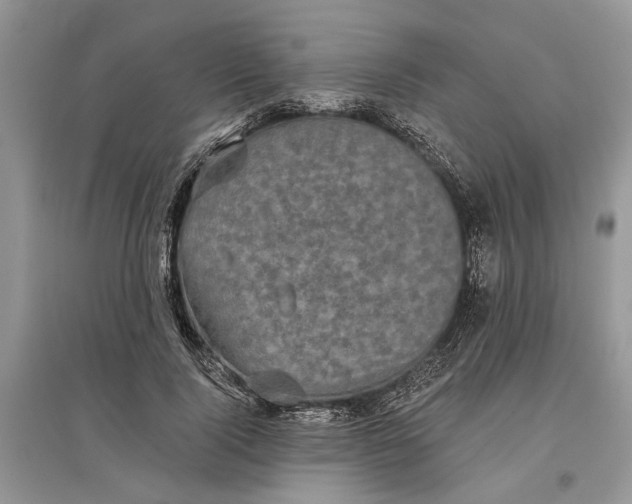 X0000097290740200803071731