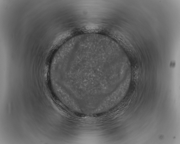X0000097290742200803071731