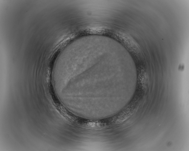 X0000097290744200803071731