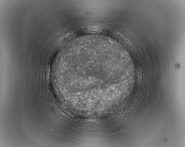 X0000097290745200803071731
