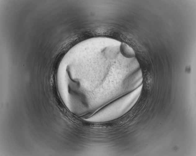 X0000097290746200803071731