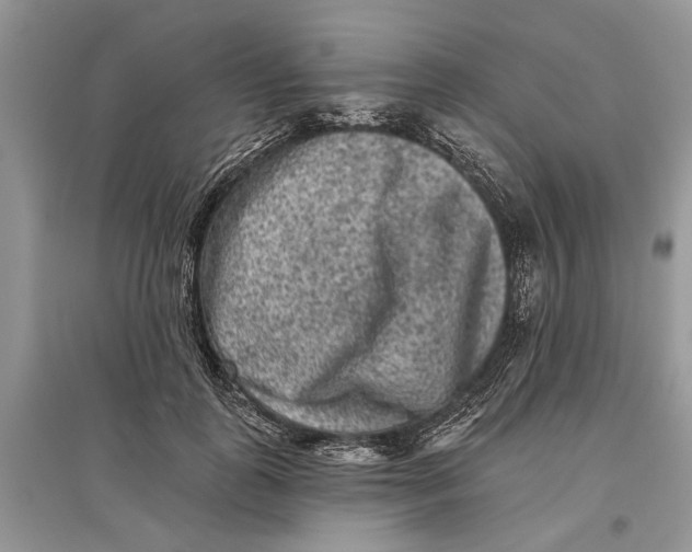 X0000097290747200803071731