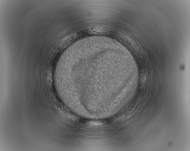 X0000097290749200803071731
