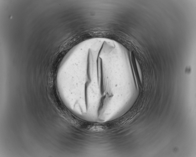 X0000097290751200803071732