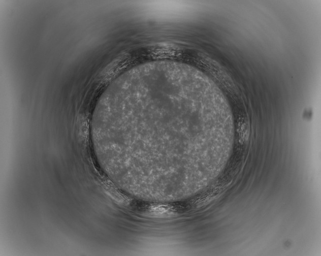 X0000097290753200803071732