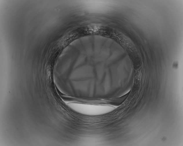 X0000097290754200803071732