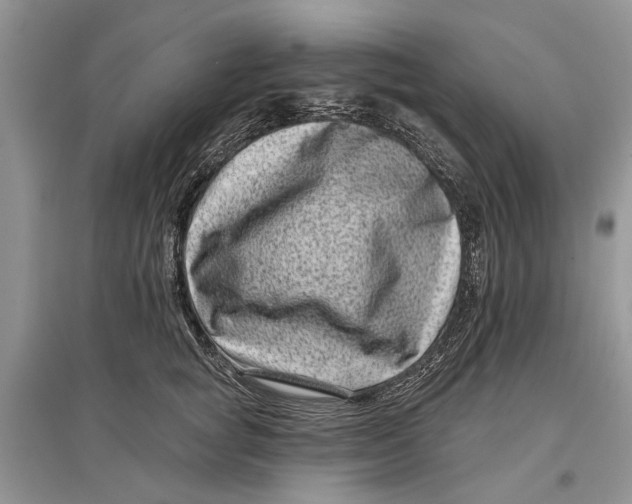 X0000097290757200803071732