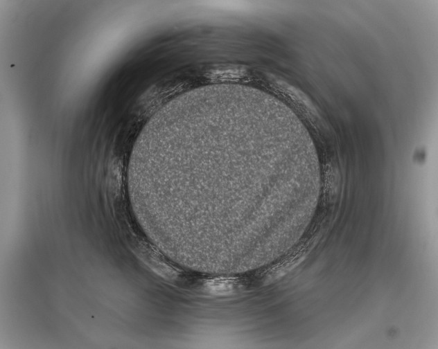 X0000097290761200803071732