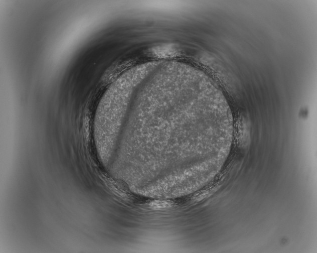 X0000097290762200803071732