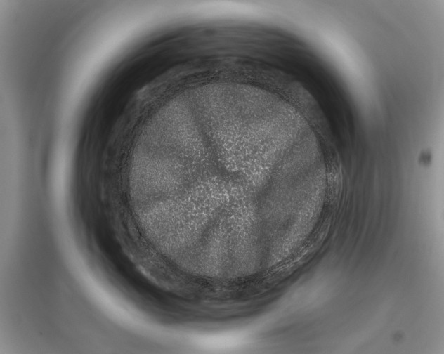 X0000097290765200803071732
