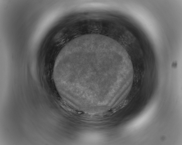X0000097290766200803071732