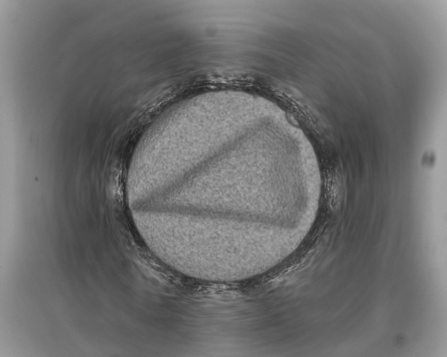 X0000097290770200803071731