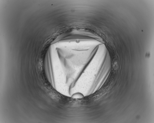 X0000097290772200803071731