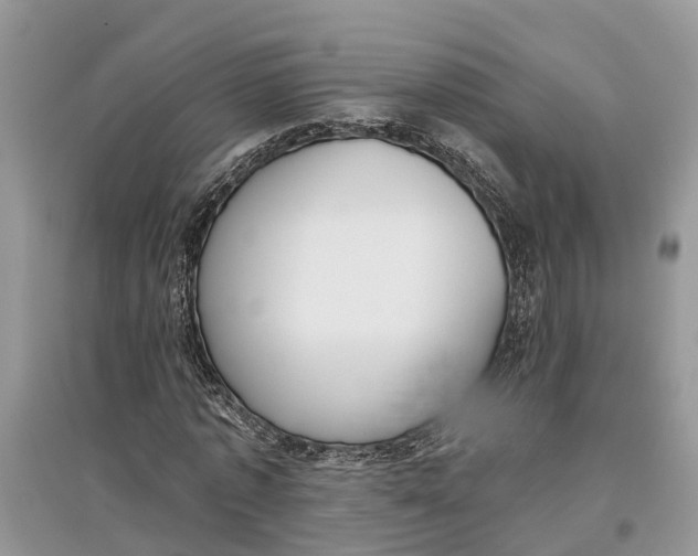 X0000097290773200803071731