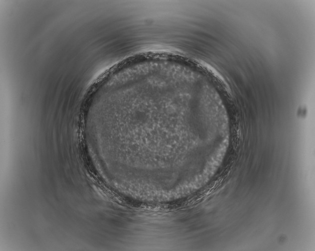 X0000097290775200803071731