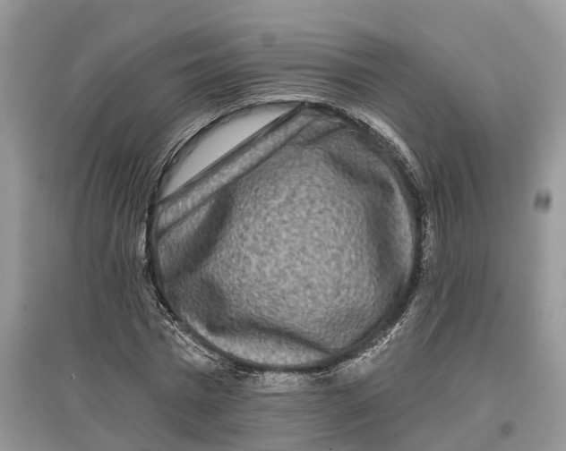 X0000097290777200803071731