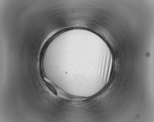 X0000097290780200803071731