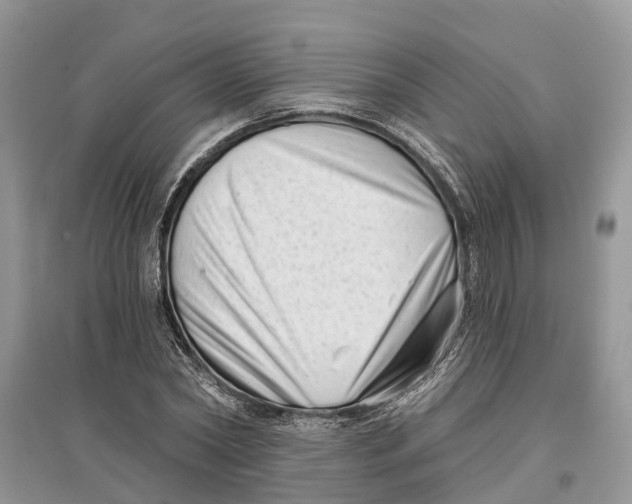 X0000097290782200803071731
