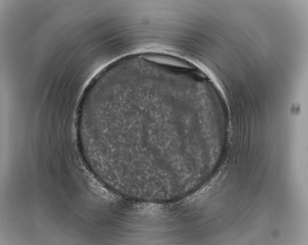 X0000097290783200803071731