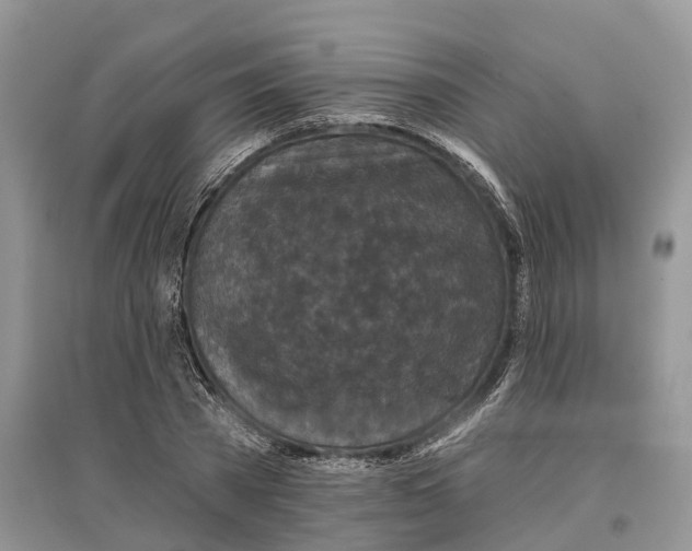 X0000097290785200803071731