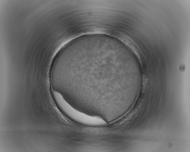 X0000097290789200803071731
