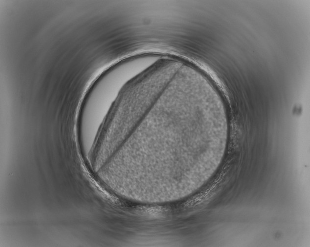 X0000097290791200803071731