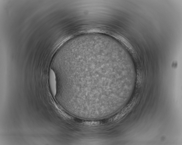 X0000097290793200803071731