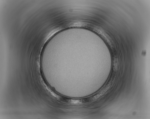 X0000097290794200803071731
