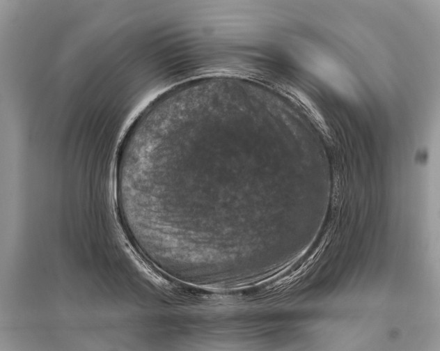 X0000097290796200803071731