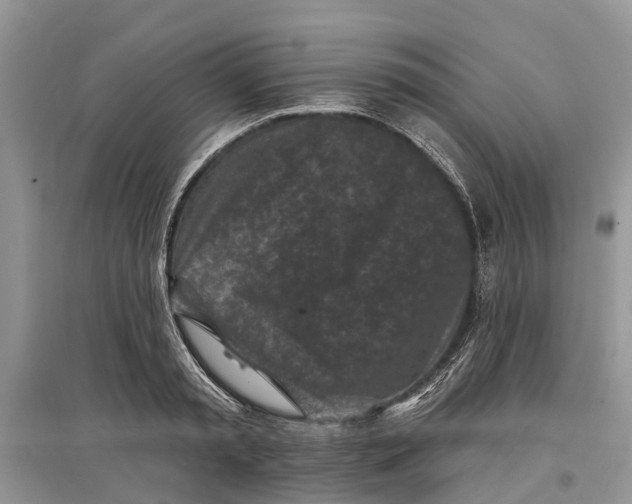 X0000097290797200803071731