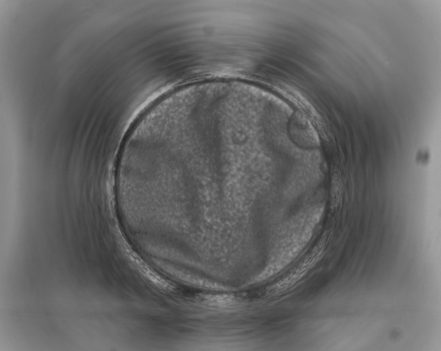 X0000097290798200803071731