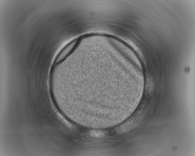 X0000097290799200803071731