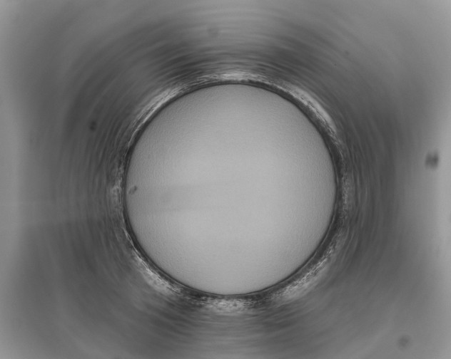 X0000097290801200803071731