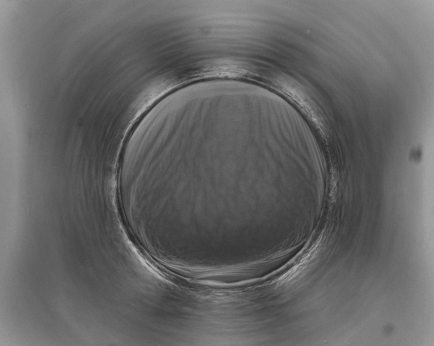 X0000097290802200803071731