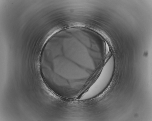 X0000097290806200803071731