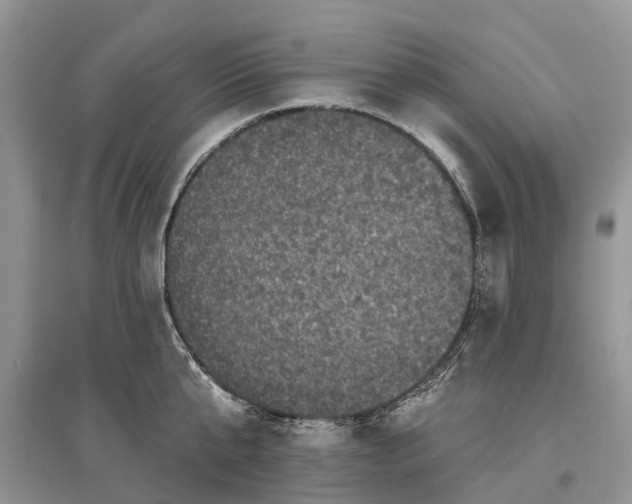 X0000097290807200803071731