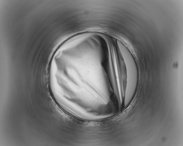 X0000097290808200803071731