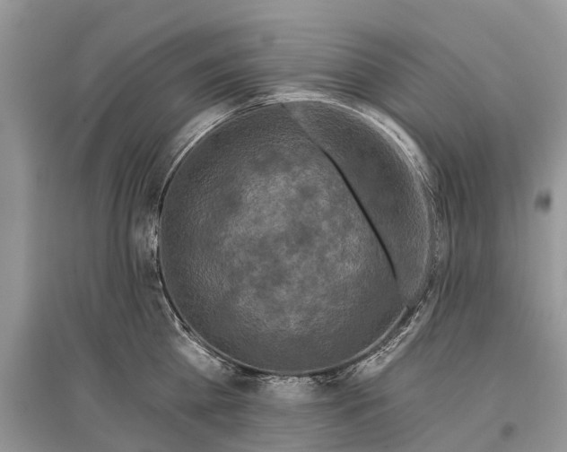 X0000097290809200803071731
