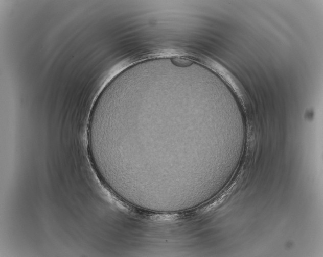 X0000097290810200803071731