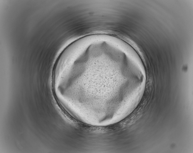 X0000097290811200803071731