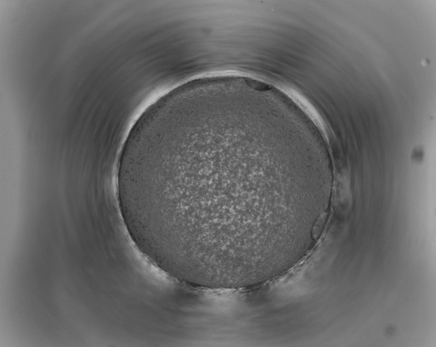 X0000097290813200803071731